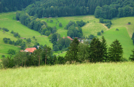 79286 Glottertal im Schwarzwald