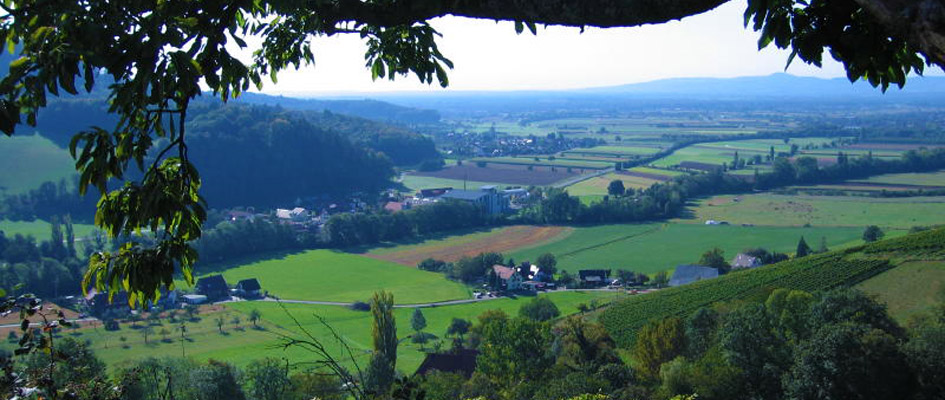 79286 Glottertal im Schwarzwald