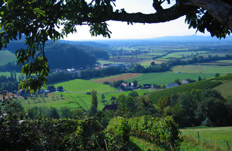 79286 Glottertal im Schwarzwald