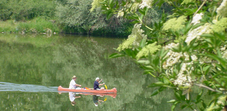 Hochrhein bei Breisach